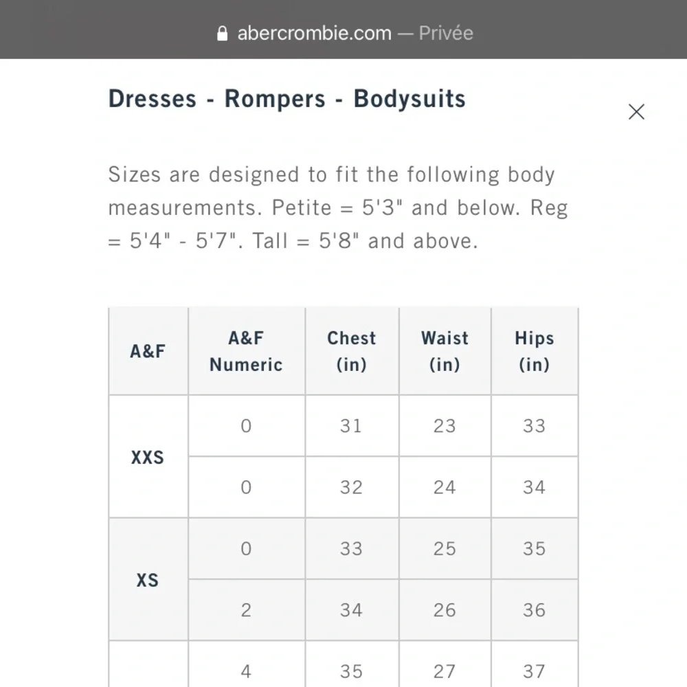 Abercrombie & Fitch Traveler Mini Dress in Mauve XSP - Picture 2 of 4